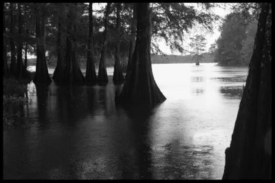 Spring Bayou, Avoyelles Parish, Louisiana