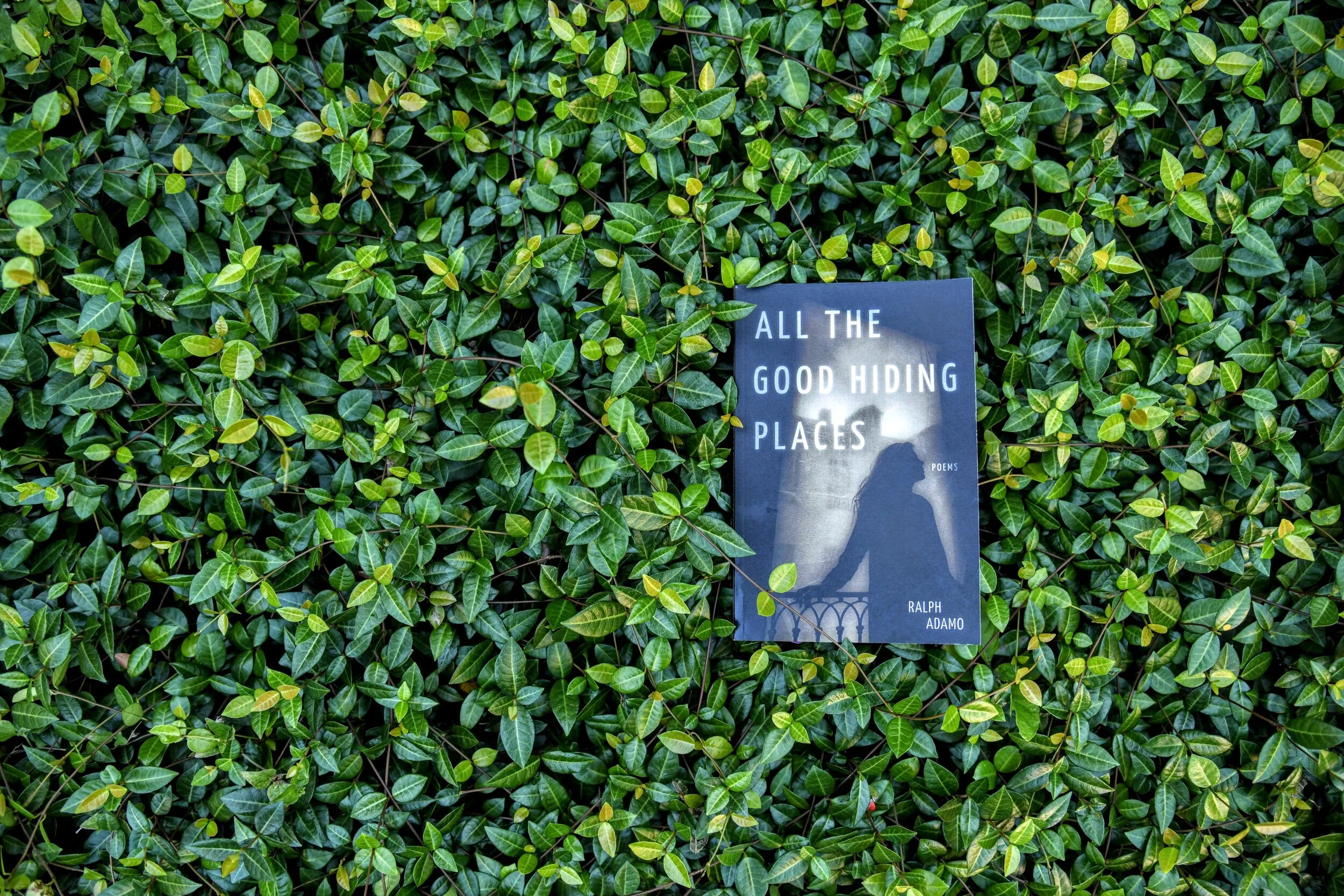 New Work: A Poem by Ralph Adamo