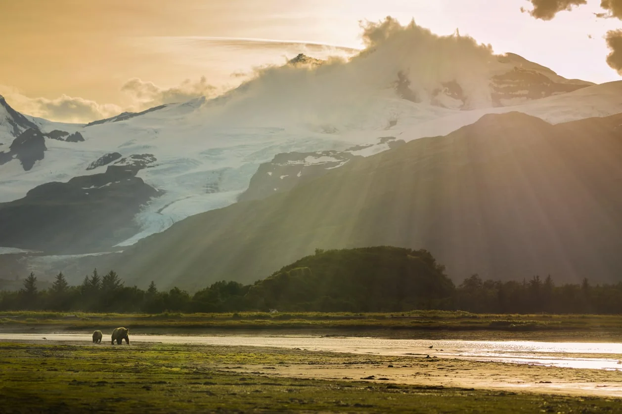Some of our children are like bears. Photo by Chase Dekker