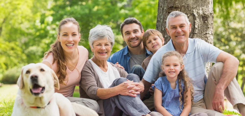 Smiles Can Be Seen Across Generations