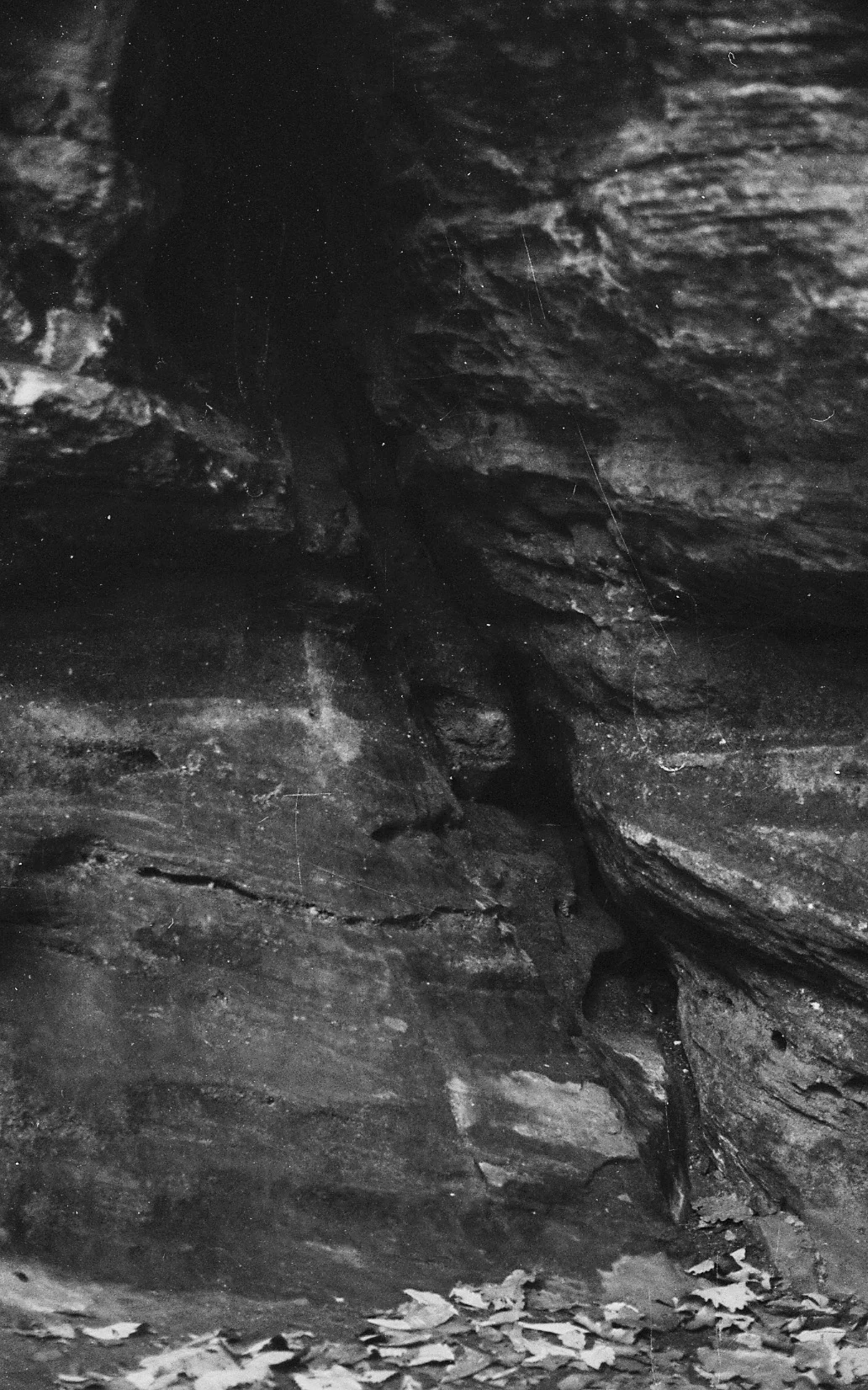 Film no.1