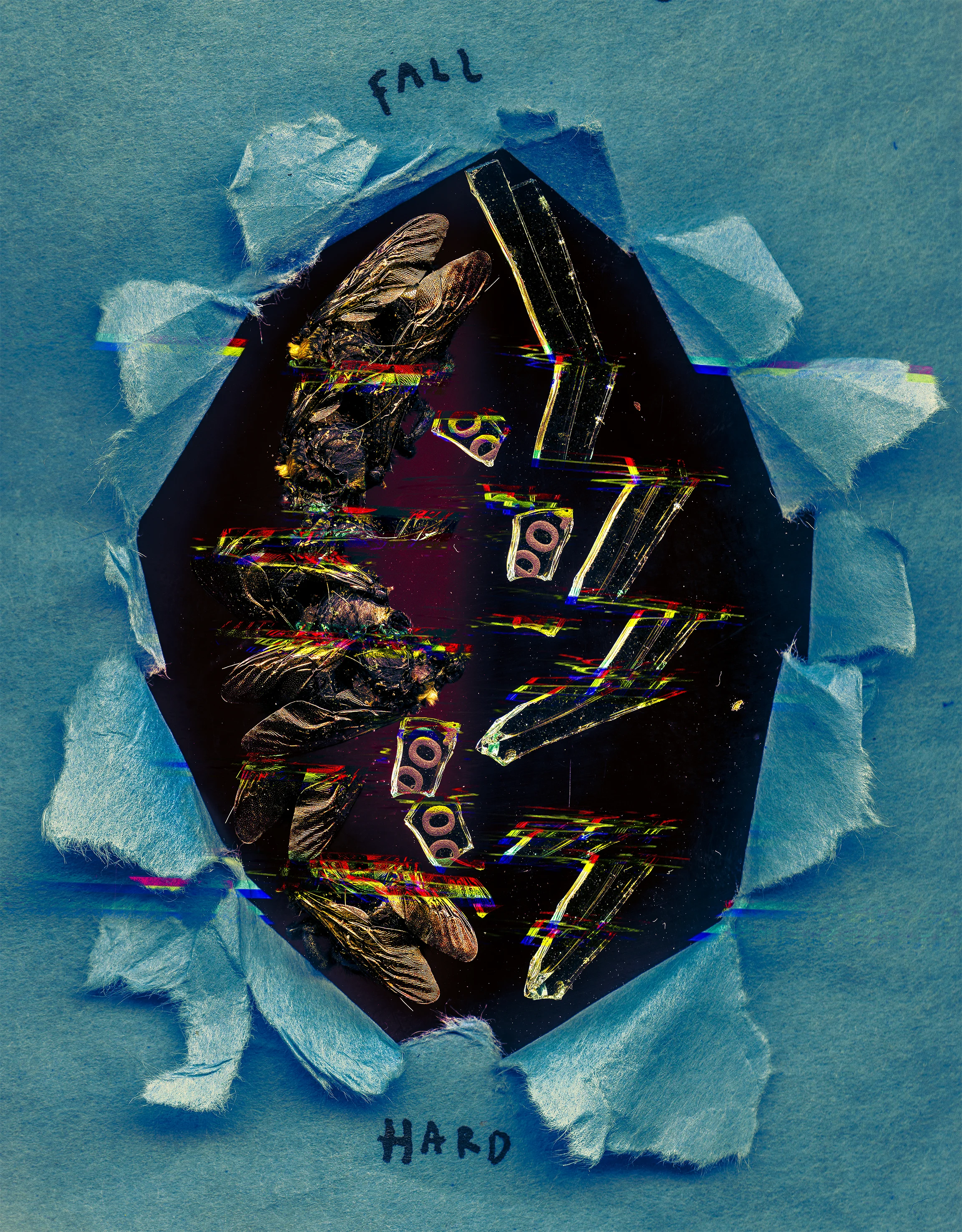beez021-Recovered.jpg