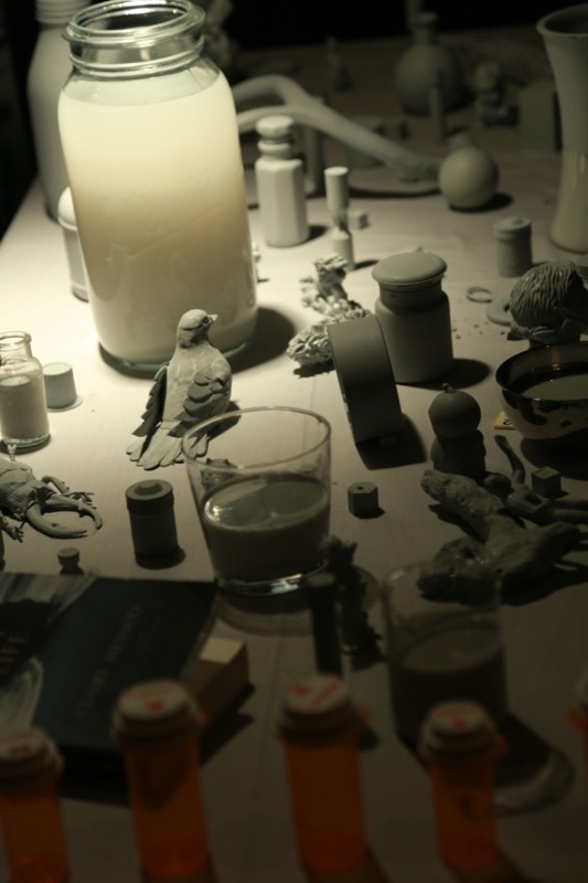 Alice Vogler, Disappearance, Foundation Fighting Blindness, Taste for Sight event, NYC, March 2016 Photo © Quinn Dukes