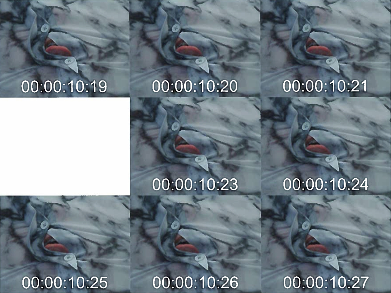 image credit: Documentation of Pace Investigations No. 2 (2016) © Ian Skalky