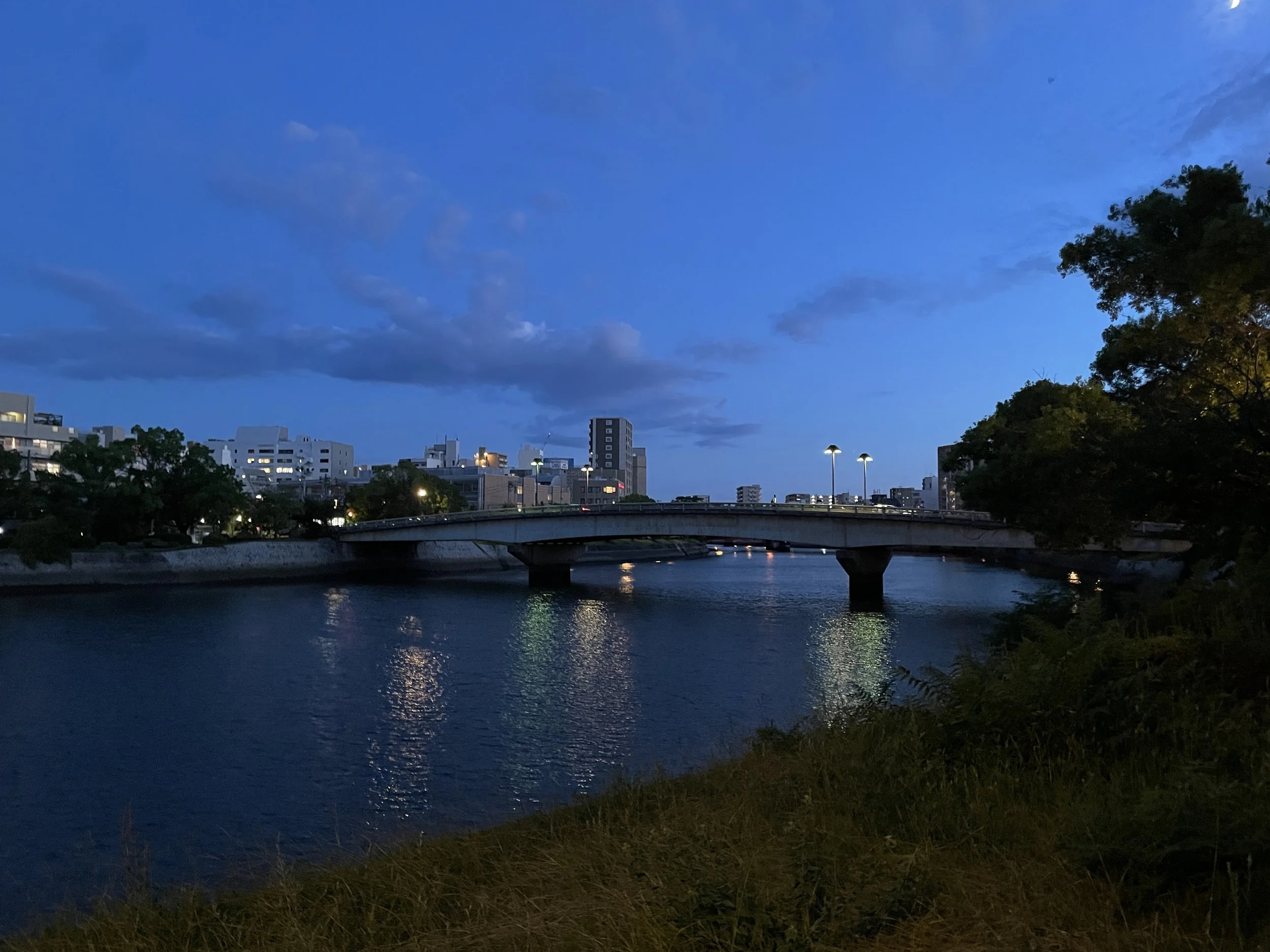 IMG_4469.JPG