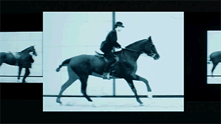 Auto-x-Horse.gif