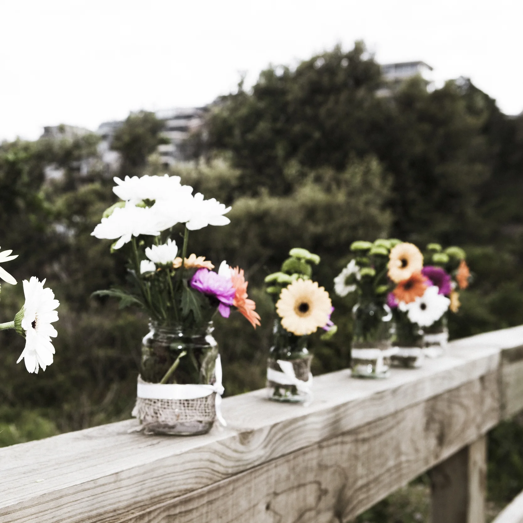20151106 (452 of 627).jpg