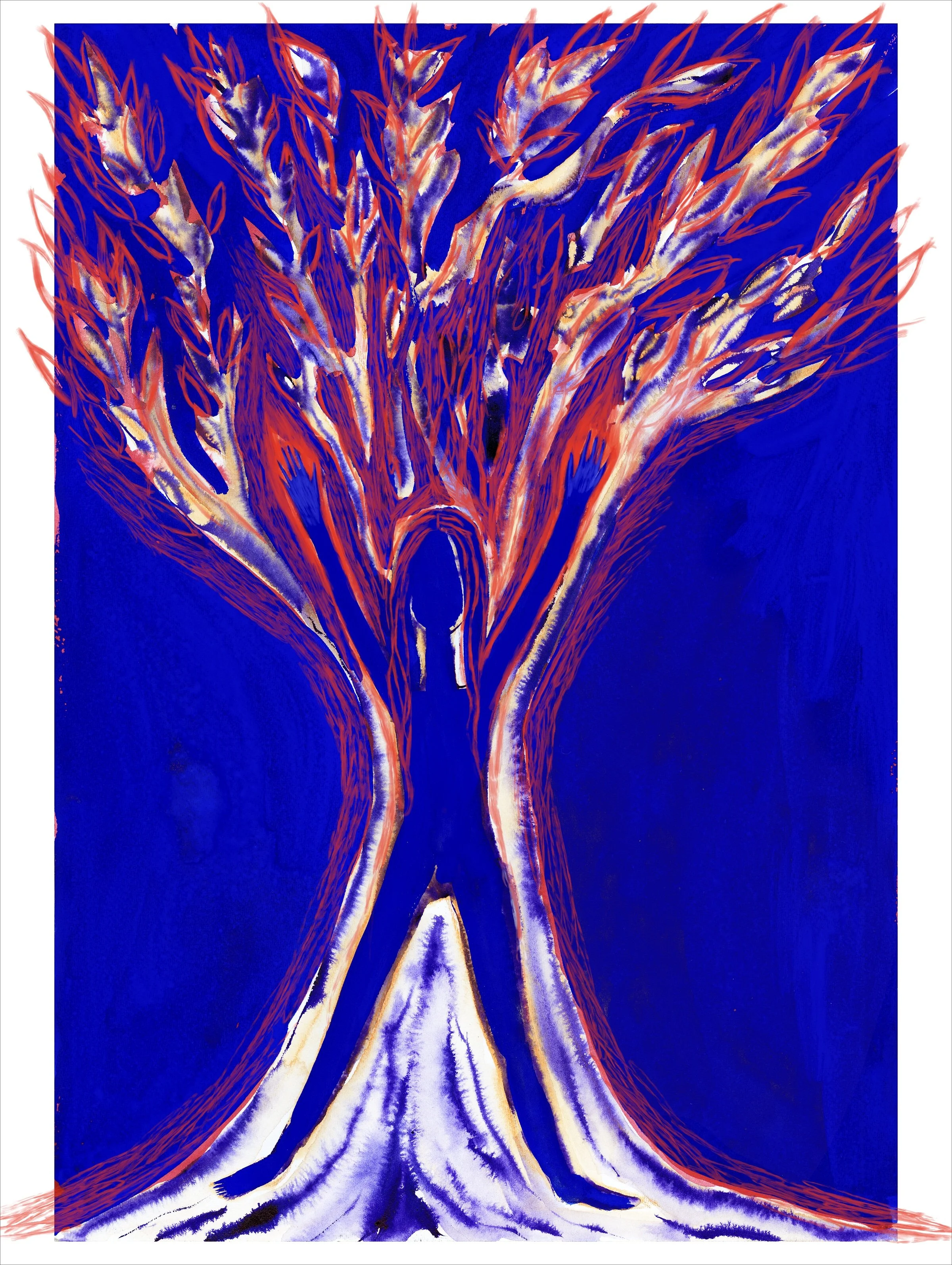 Cecilia granara.jpeg