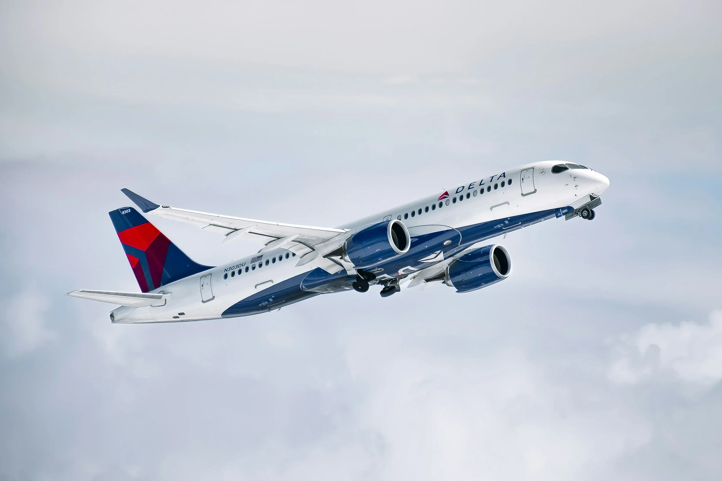 Delta Air Lines Brand Experience &amp; Environment