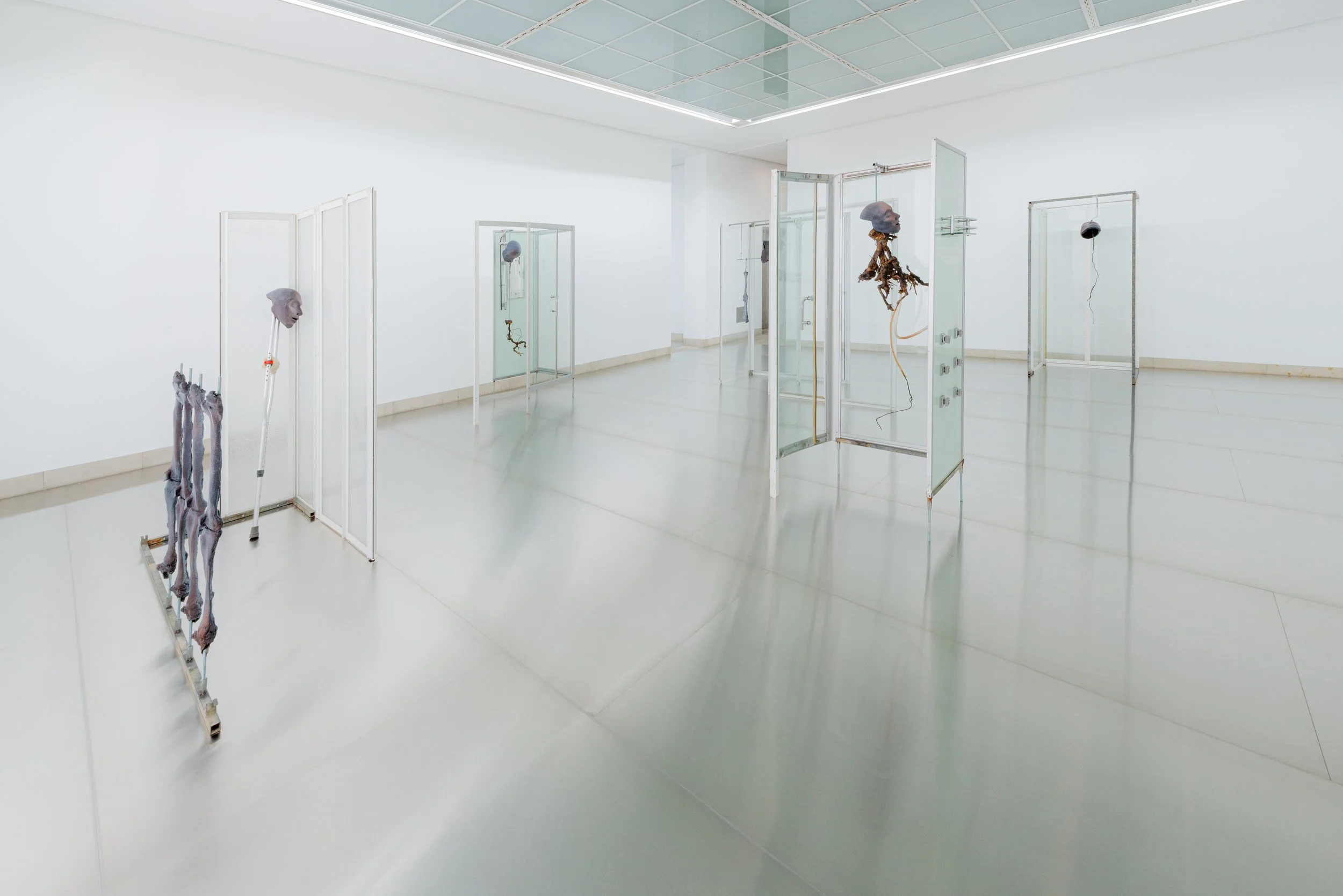 galerie_sifi_exhibition_view_dez25_008.jpg