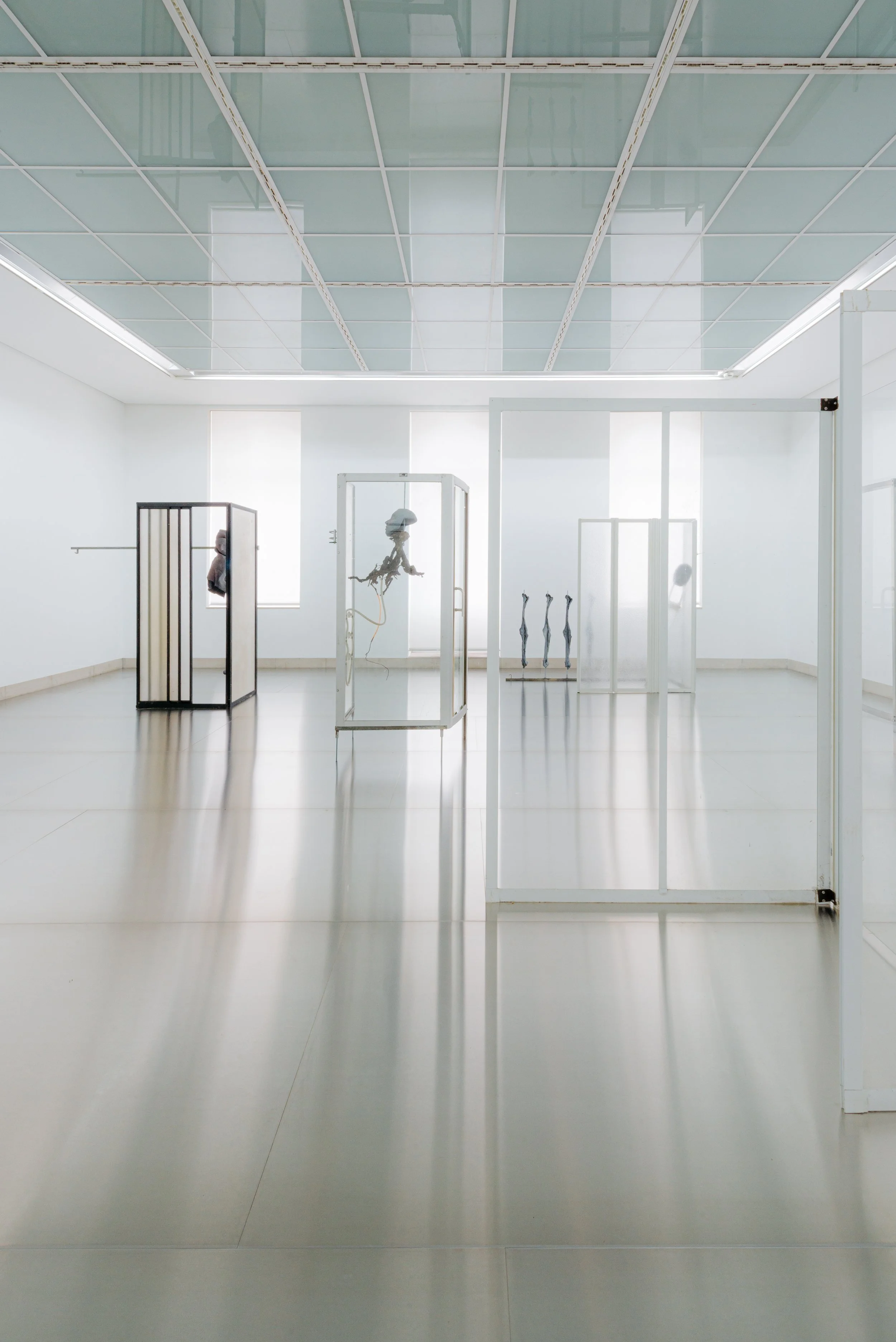 galerie_sifi_exhibition_view_dez25_011.jpg