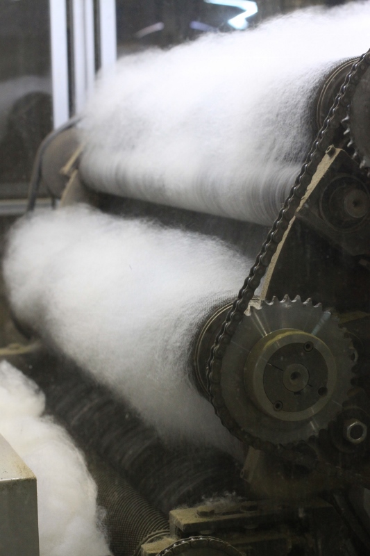 The carder starts to align the fibres.