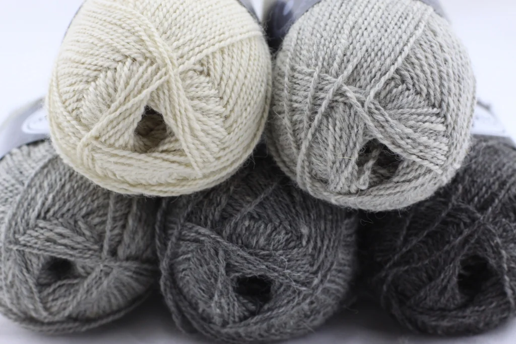 IMG_1337 (1024x683).jpg