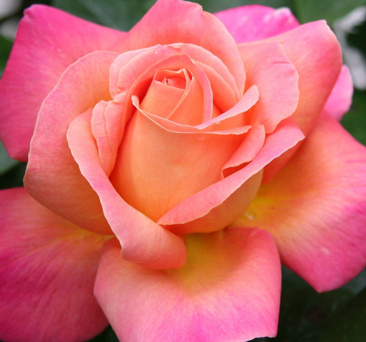 Happy Mother's Day!