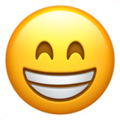 grinning-face-with-smiling-eyes_1f601.png
