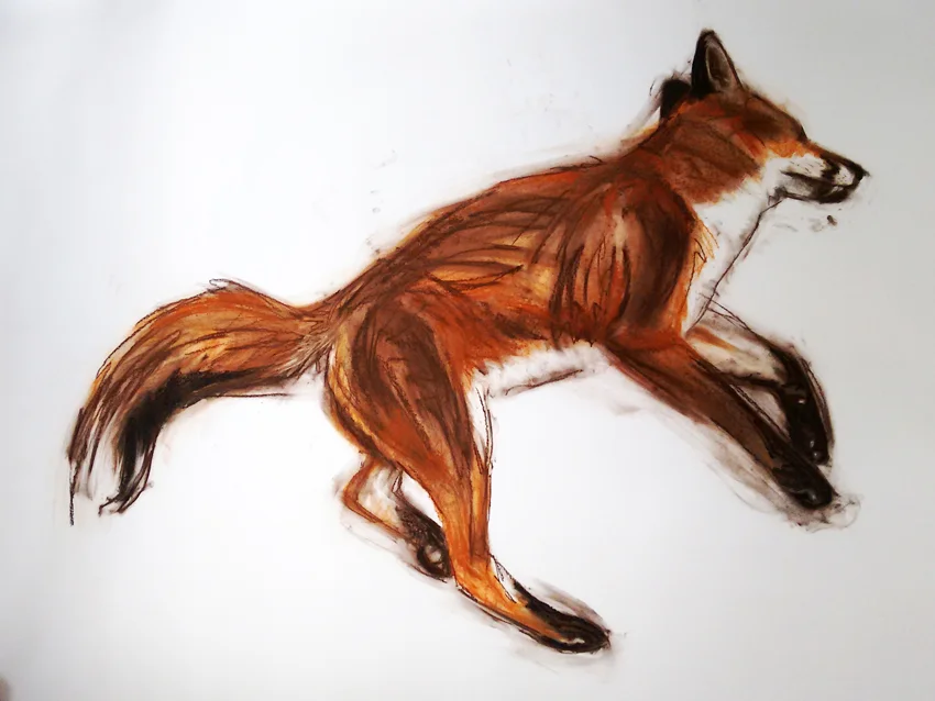 "But has he nine as beautiful tails as the late Mr. Fox?"  "Oh, no," answered the cat,  "he has only one."
