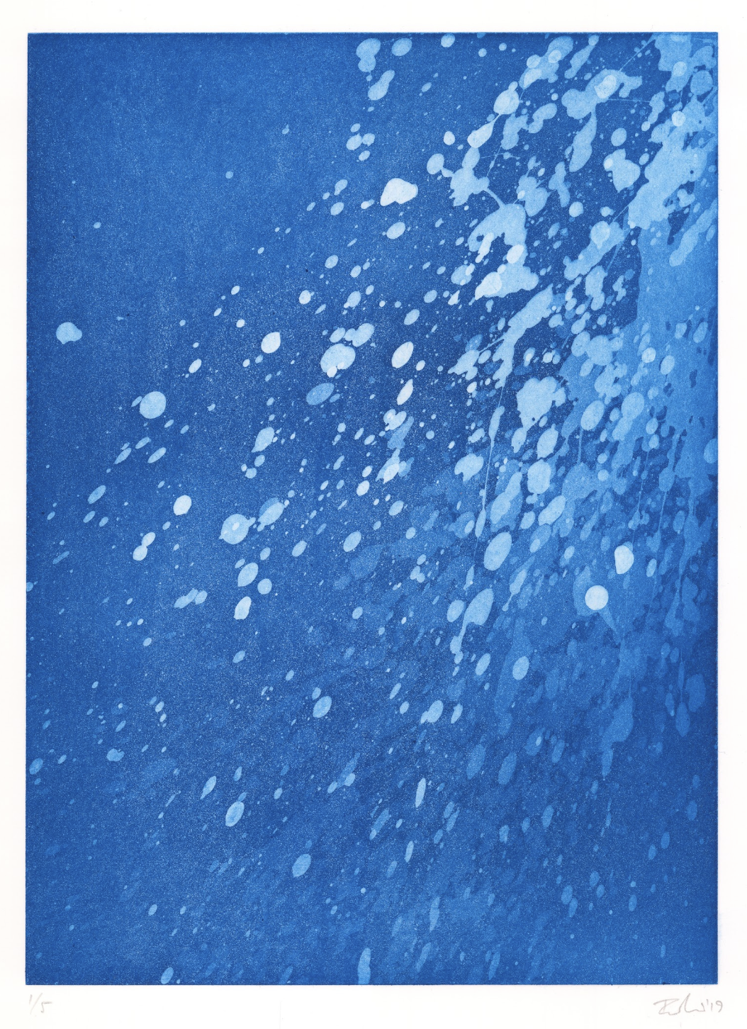   Nothing is Wasted   2019.&nbsp;Aquatint.&nbsp;42x29cm.&nbsp;Edition: 5 