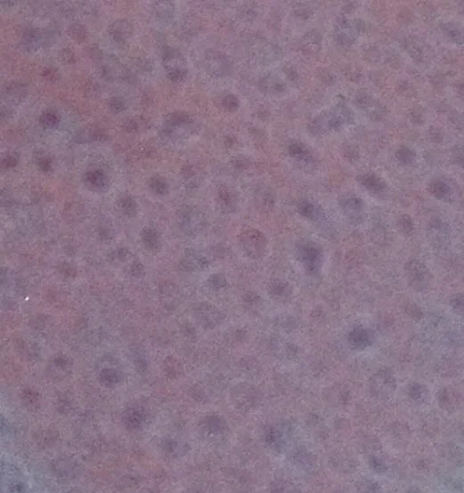glaze_54.jpg