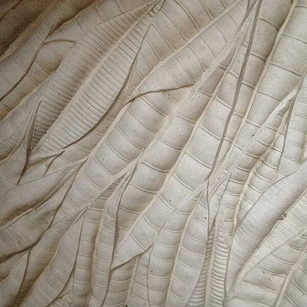 Close-up of large, overlapping, white or light-colored banana leaves.