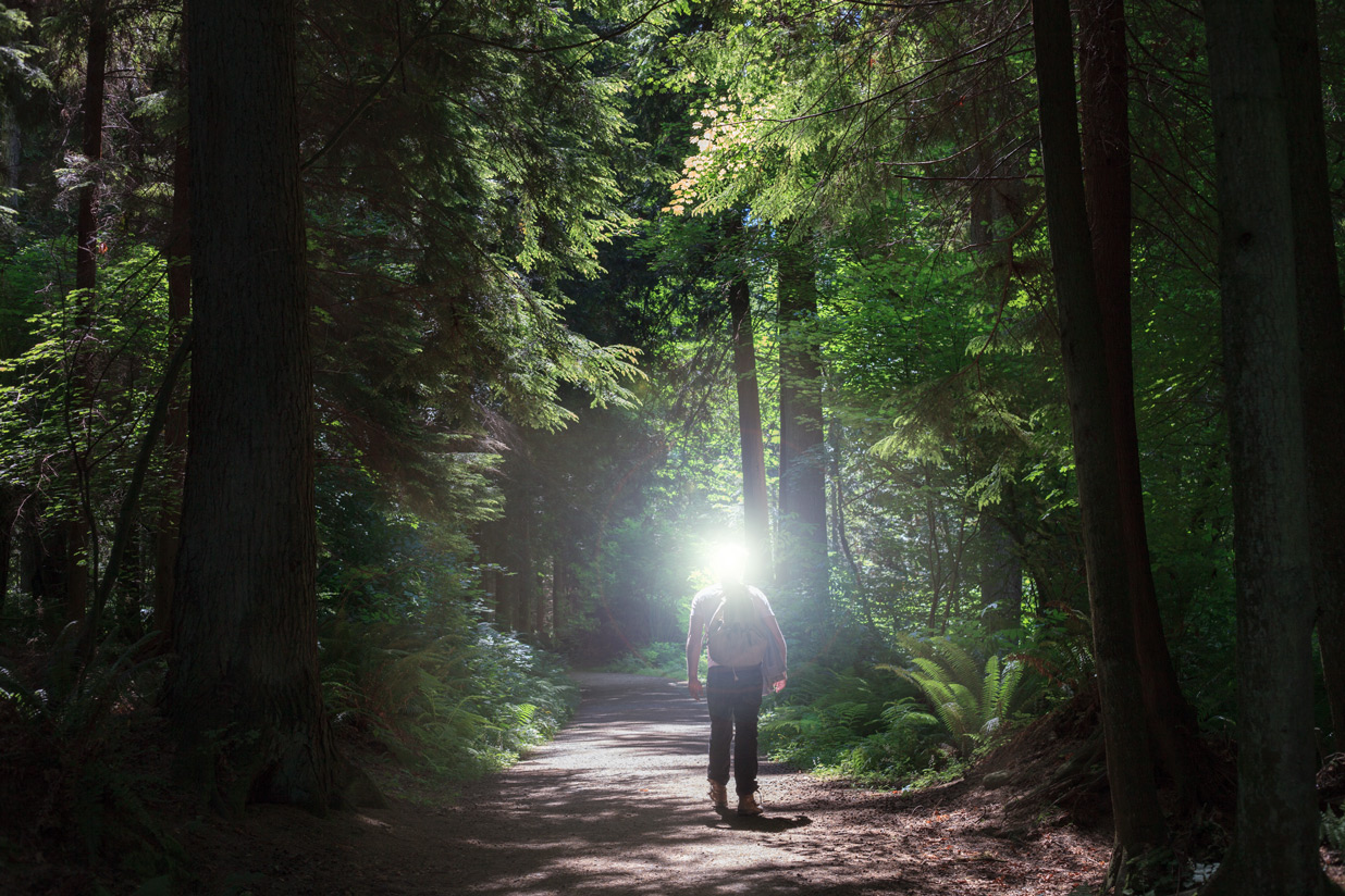 vancouver-woods.jpg