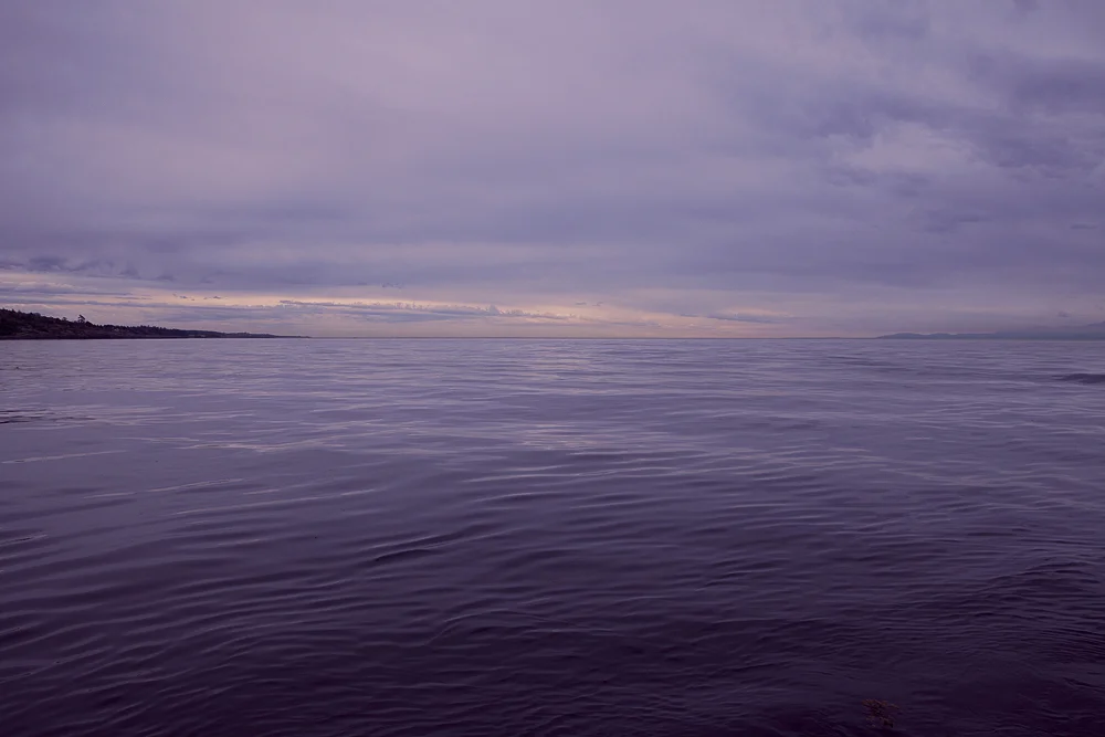 Horizons-StraitofGeorgiaVancouver-11-BMC.jpg