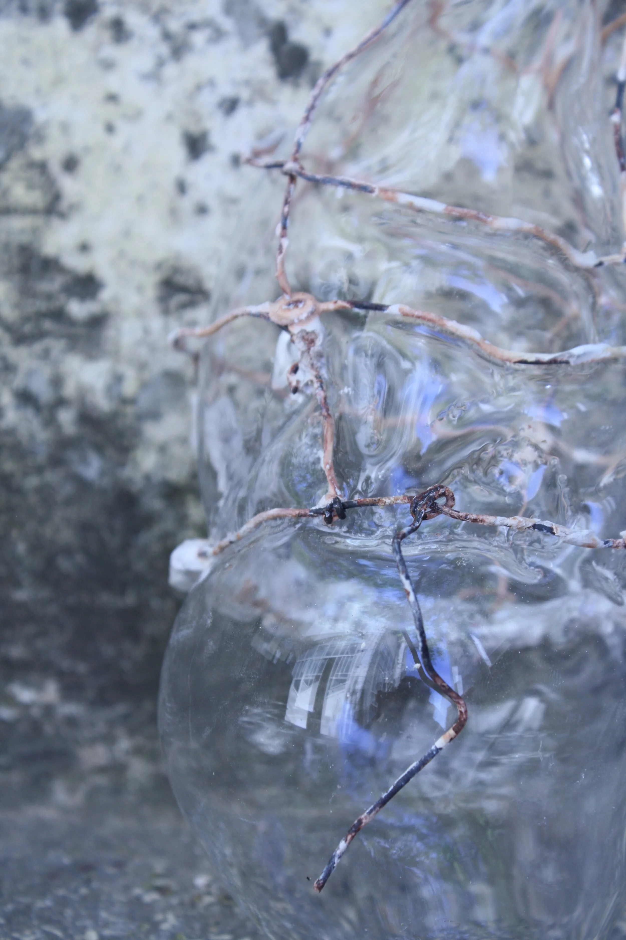 Caged Forms 00.01.30.jpg