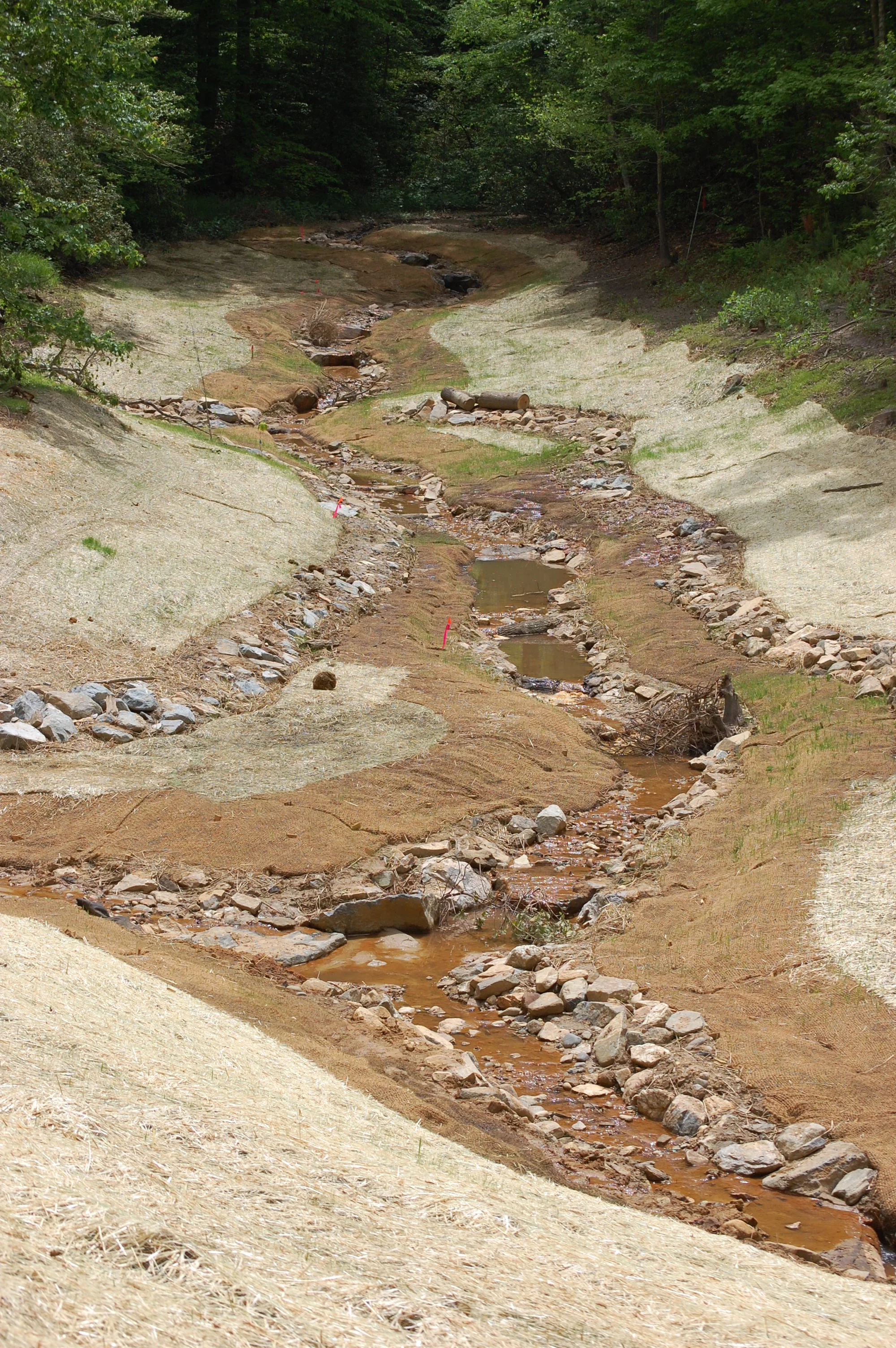 Coan-Mill-Stream-Mitigation-Bank.JPG