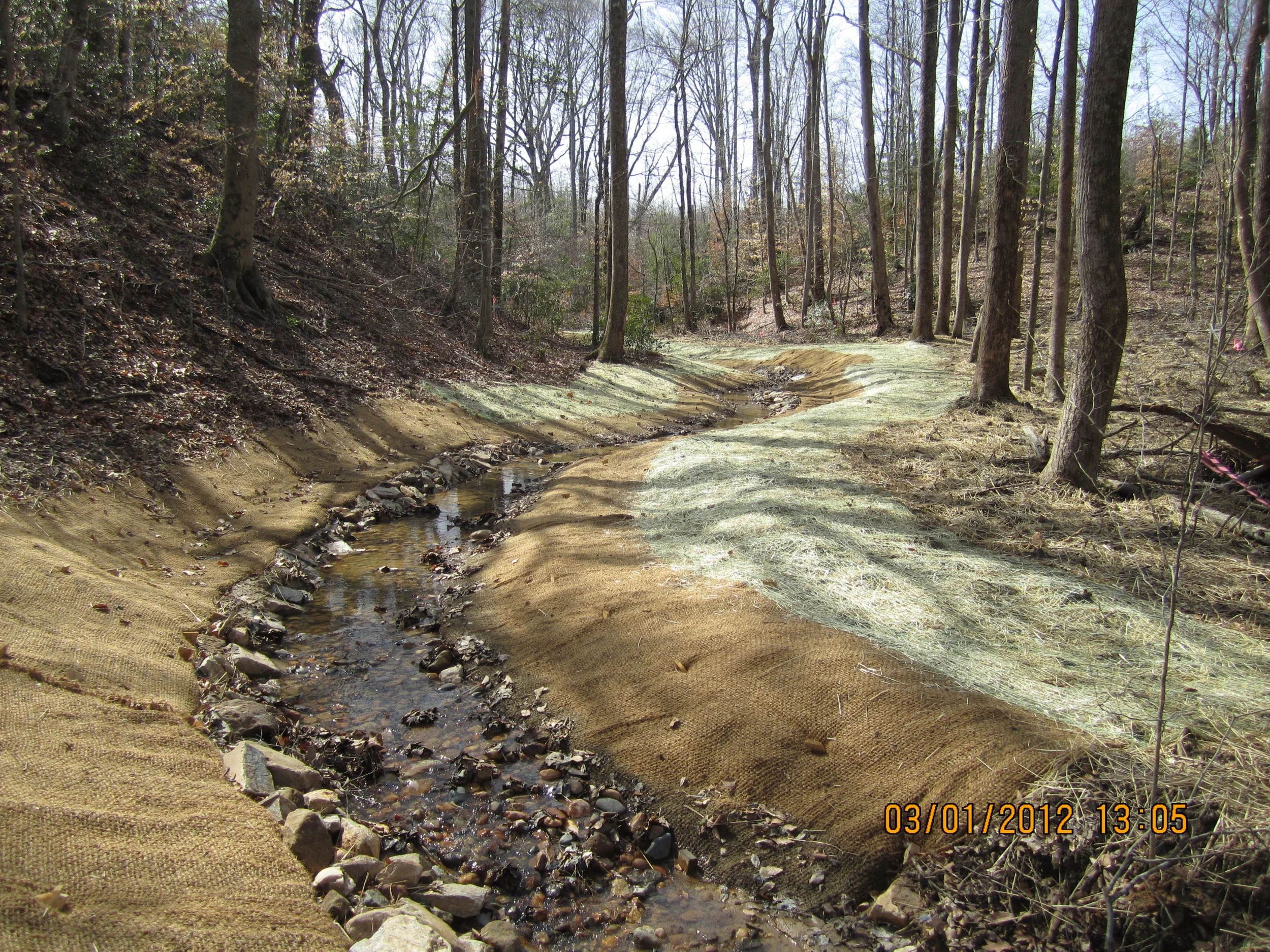 Coan-Mill-Streams.jpg