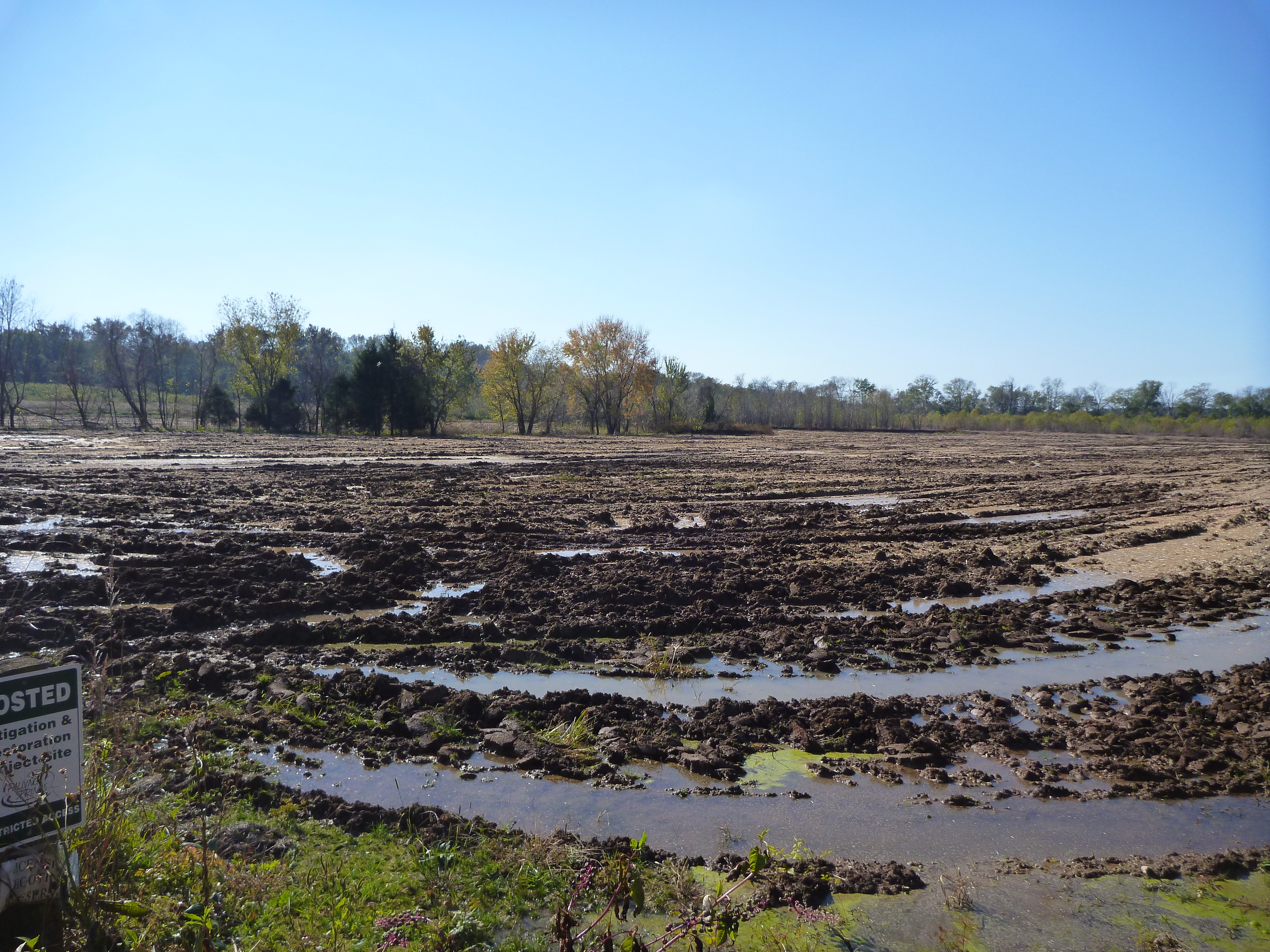 James-River-Mitigation-Bank.JPG