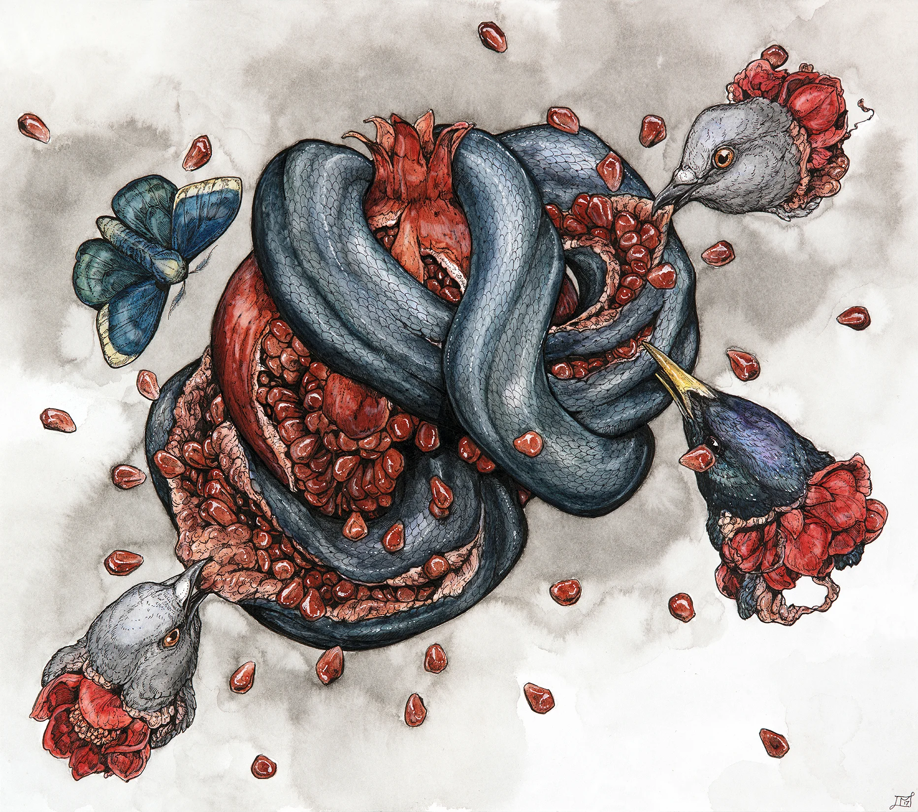 pomegranate_marx_2017_website.jpg