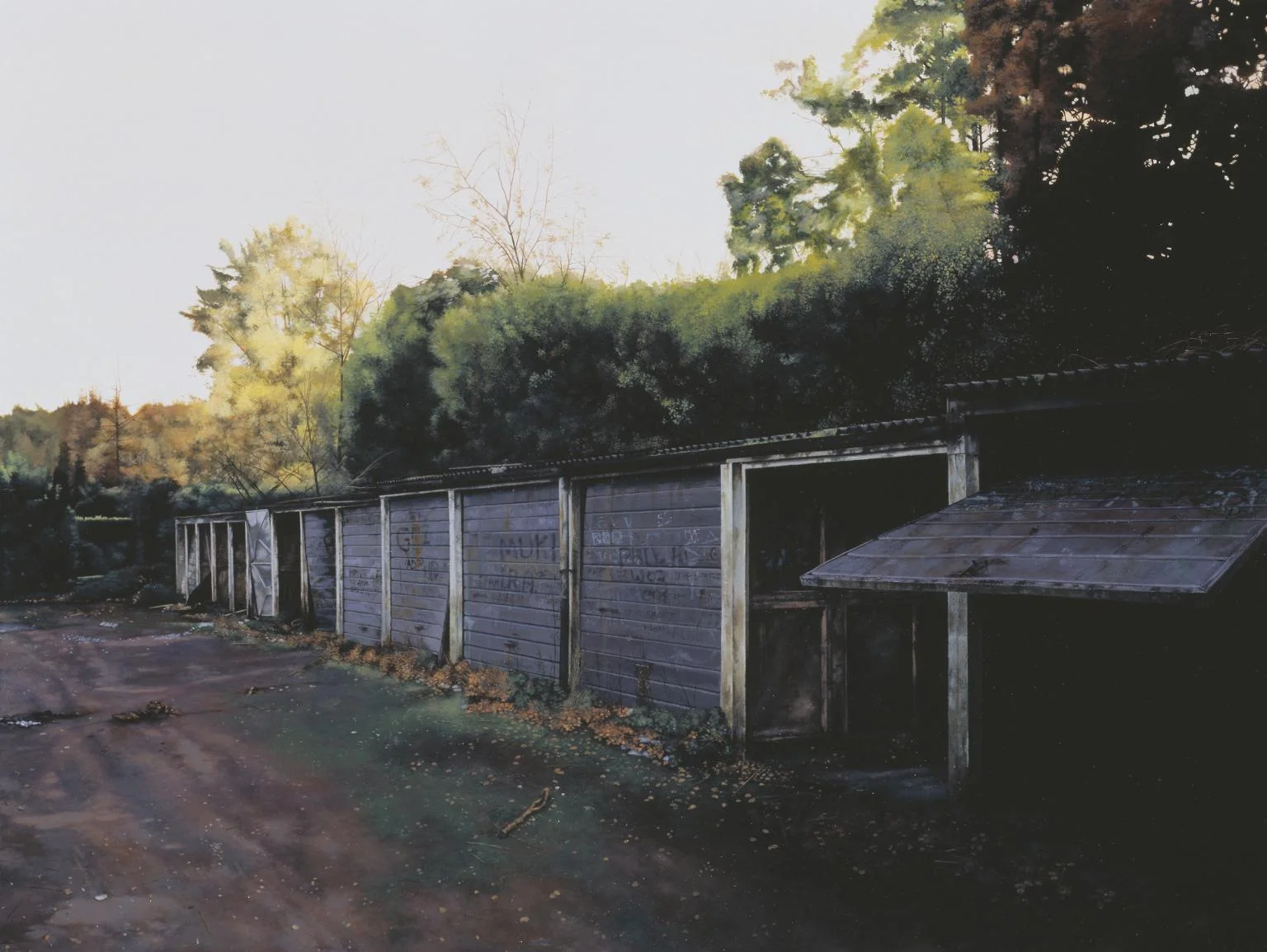 T07945_10.jpg