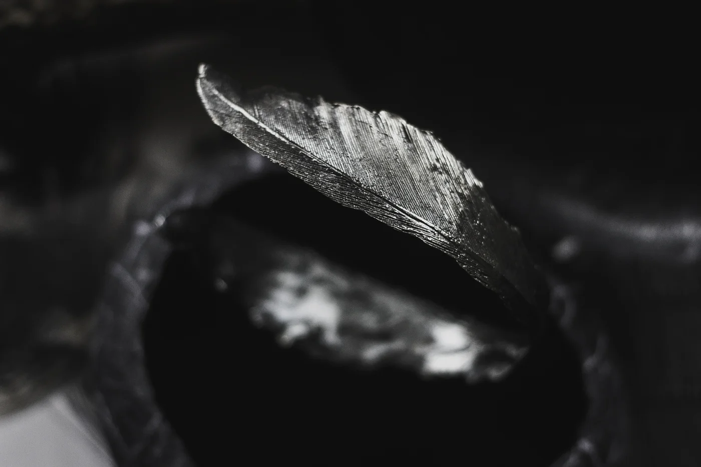 aurum-3.jpg