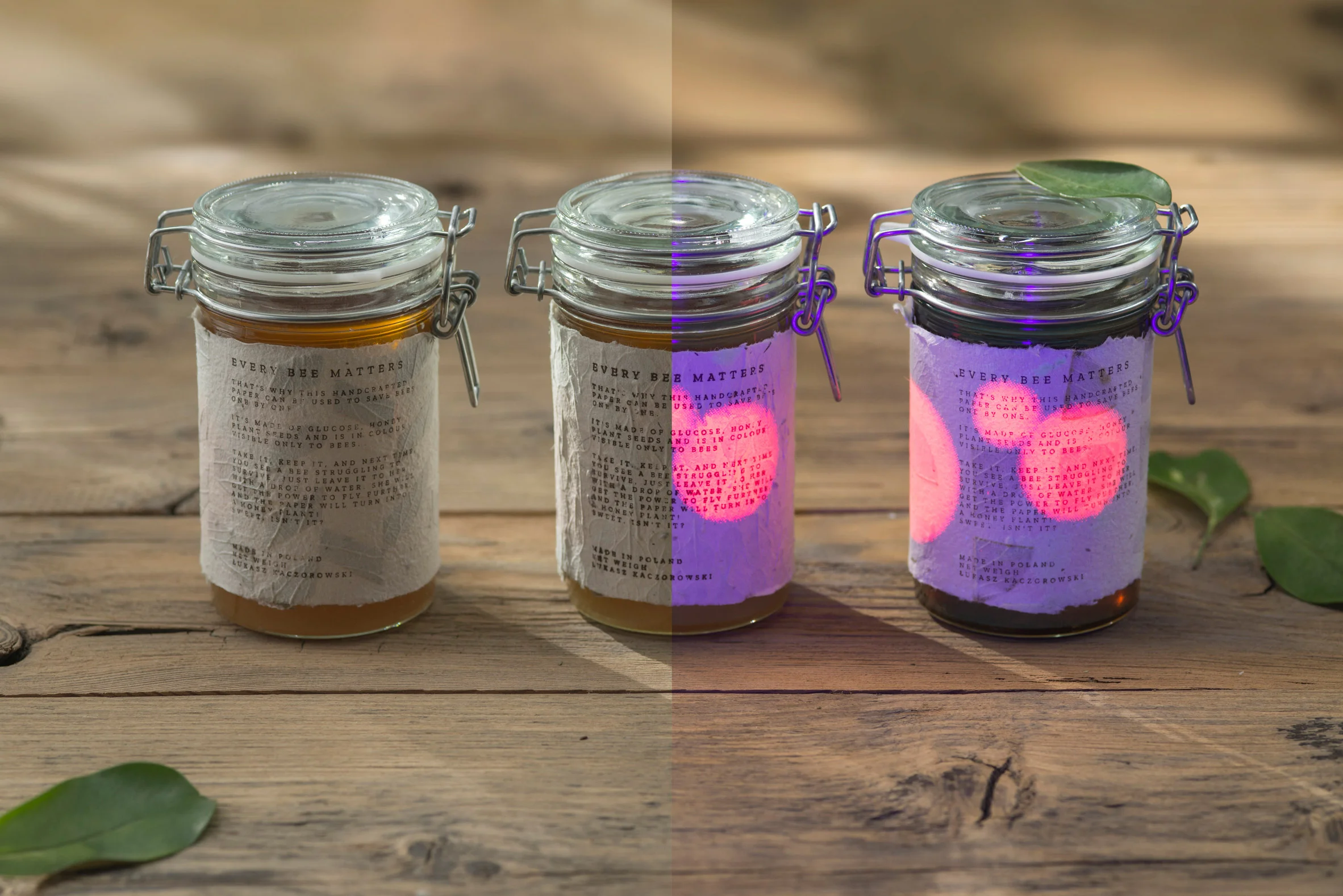 bee-saving-paper-design-environment_dezeen_2364_col_1.jpg