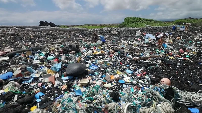 ocean-waste-in-hawaii.jpg