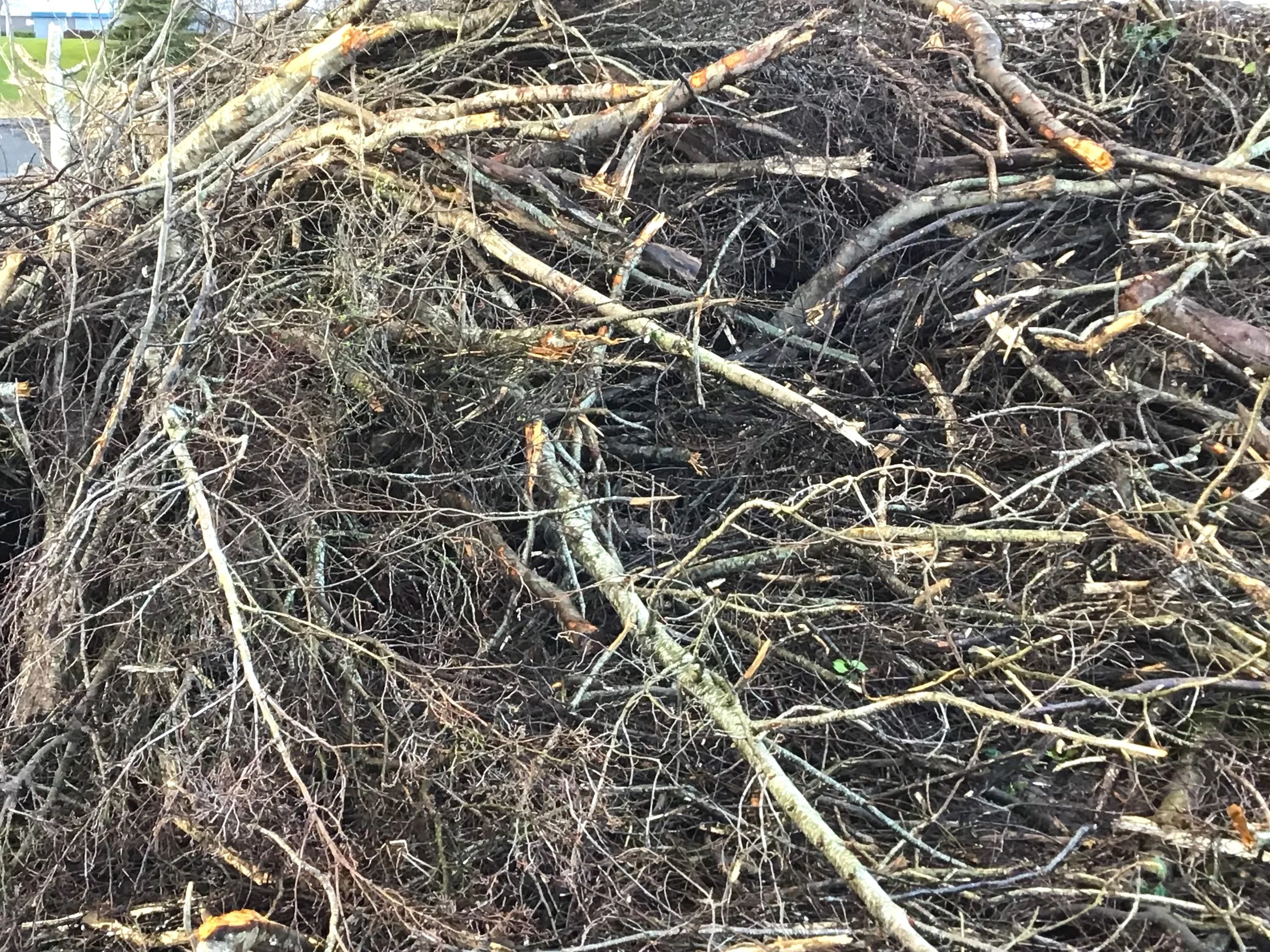 IMG_0066.jpeg