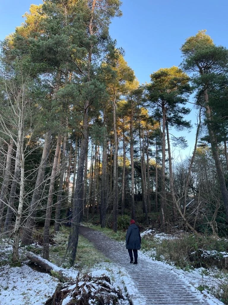 Talk to the trees...