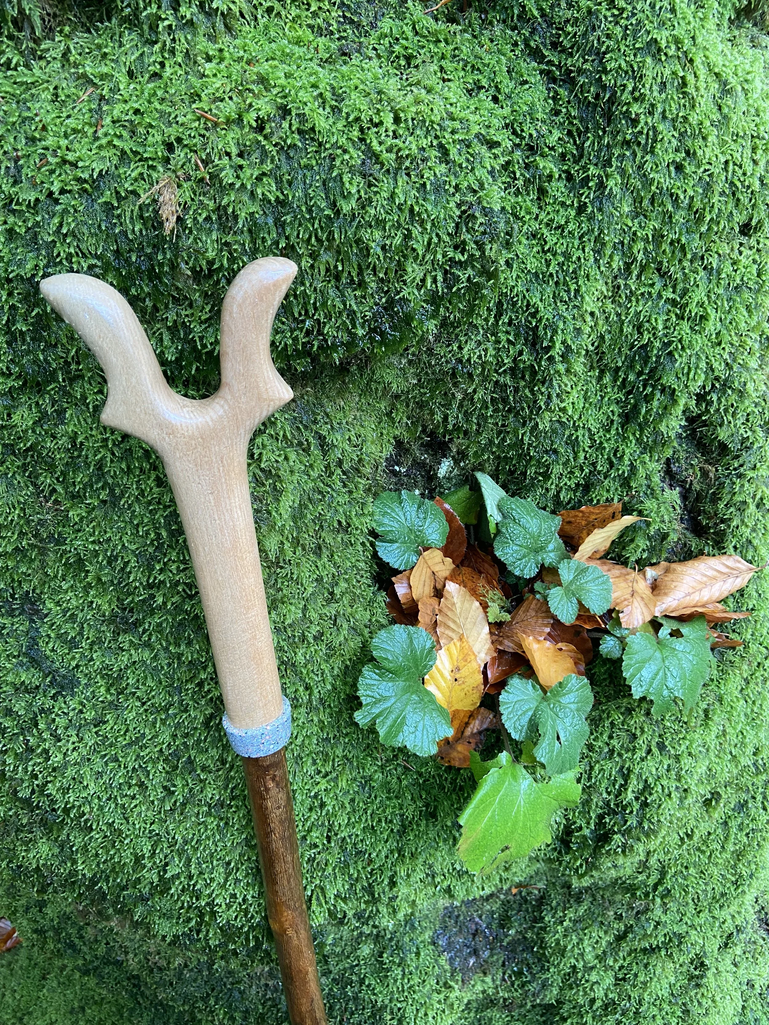 Meandering with mushrooms...