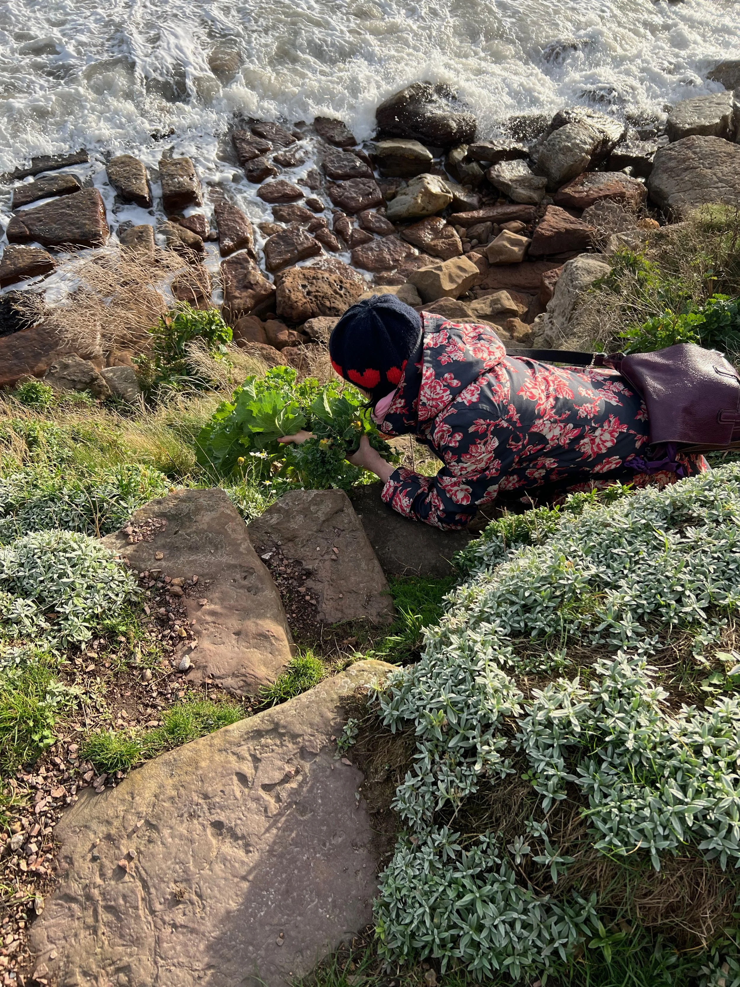 Kale on the cliff...