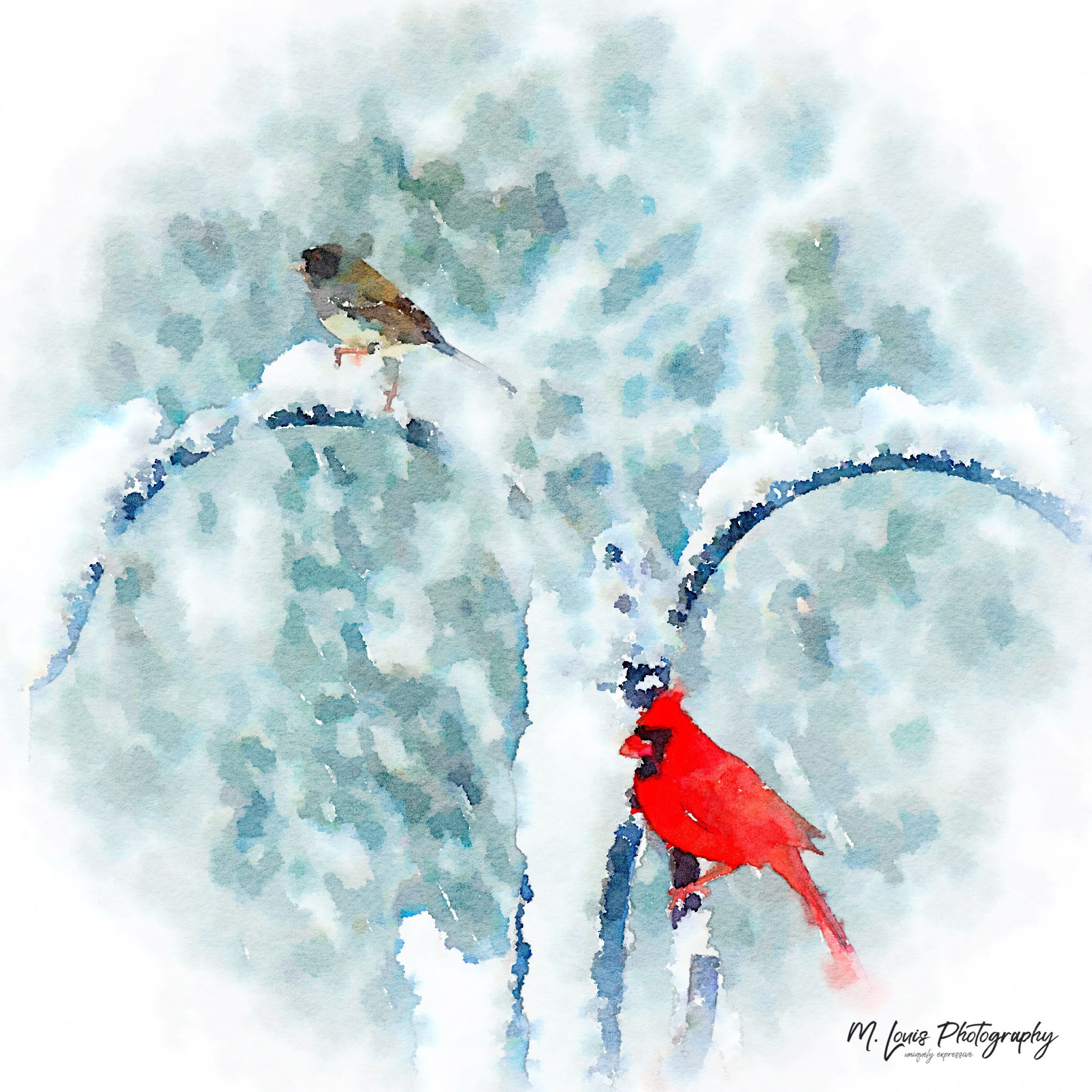 Snow Birds on Feeder IMG_0372.jpg