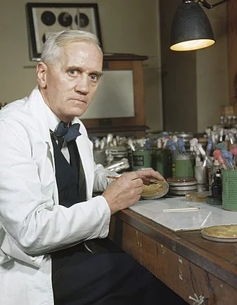 Professor Alexander Fleming in his laboratory at St Mary's, Paddington, London. (Wikimedia)
