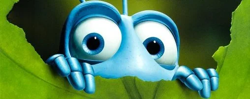 Accept your Fly-self