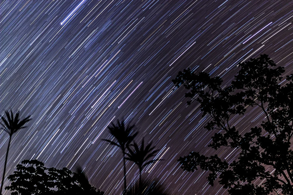 Divine Synchronicity