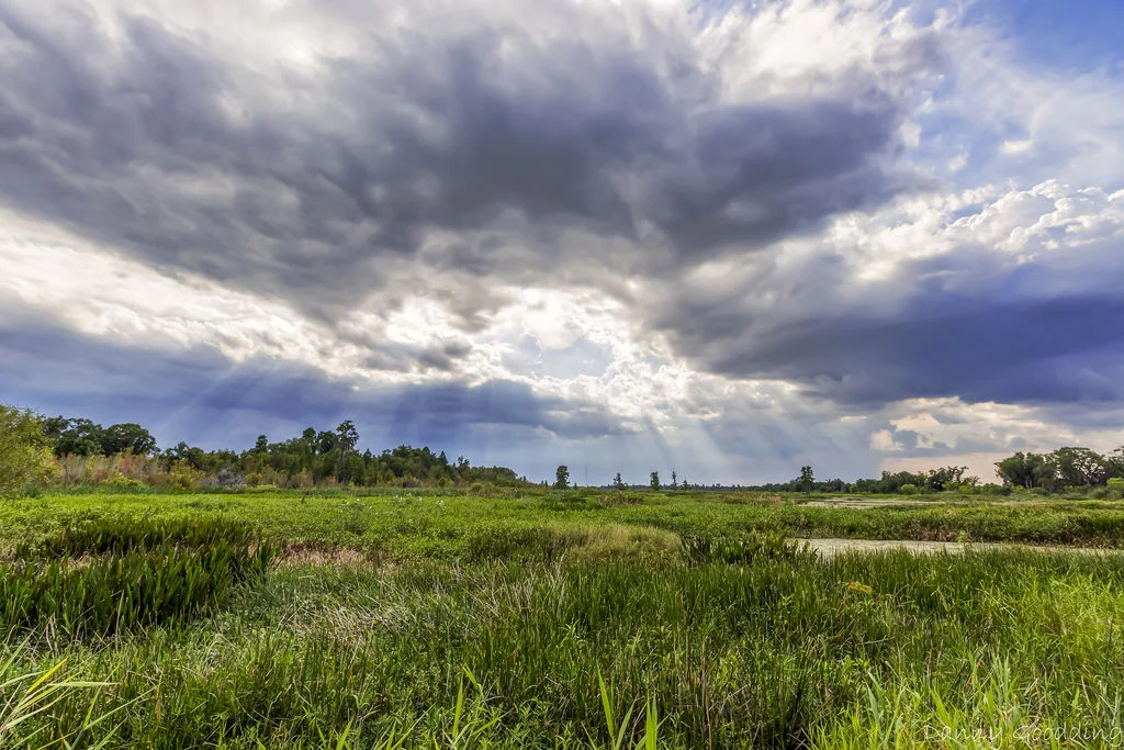 30 years of life....only 10 things learned?!?