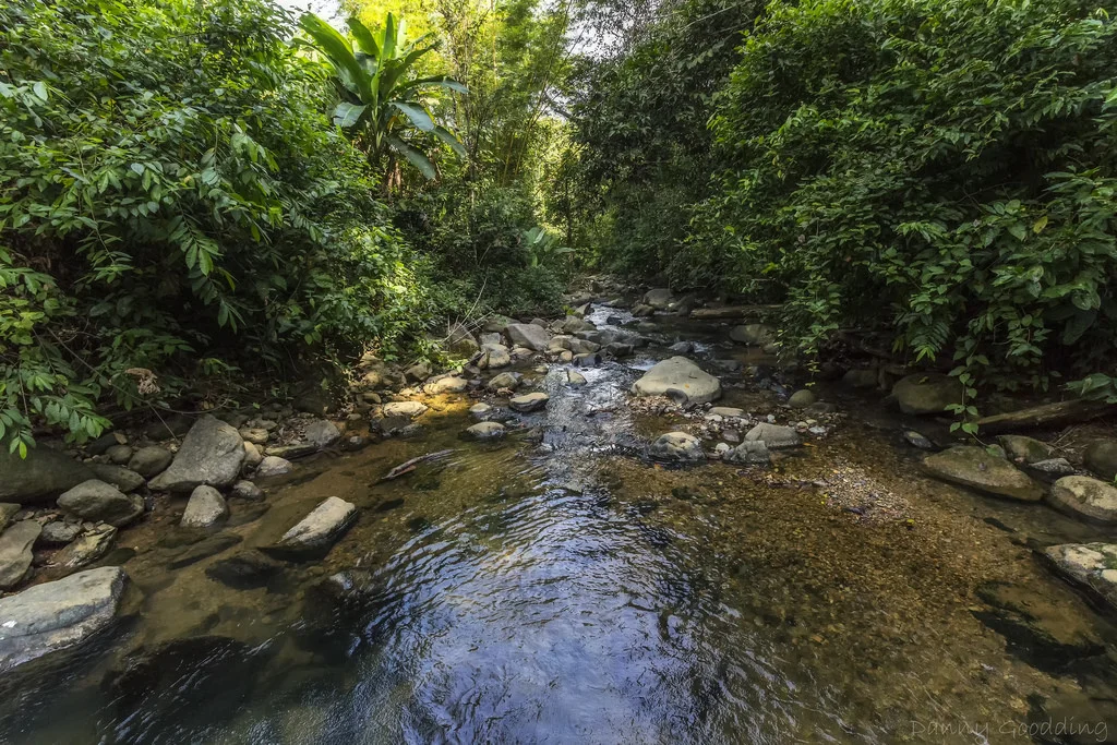 4. Carrying True Value