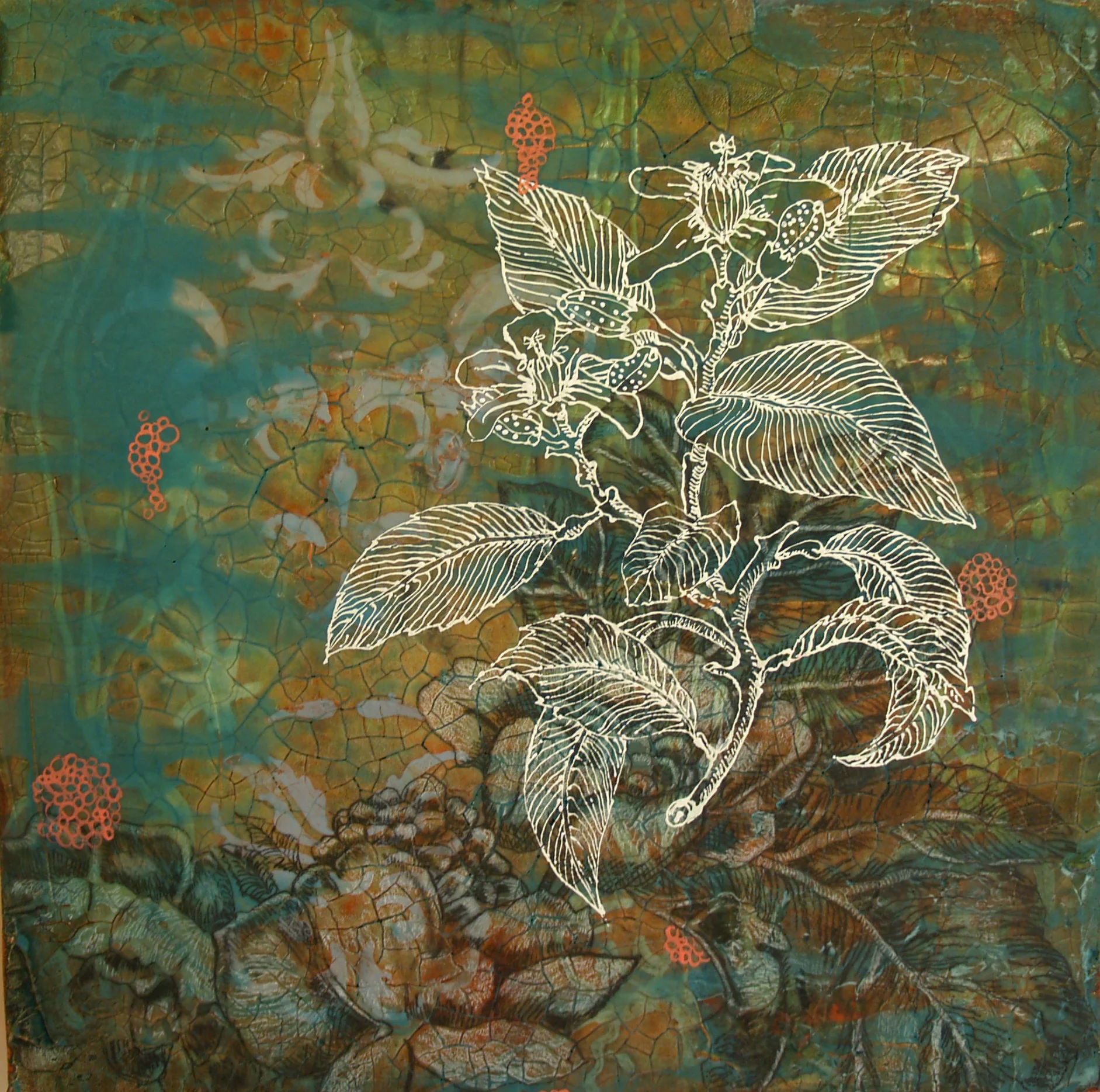 Ghost Weed 24" x 24"