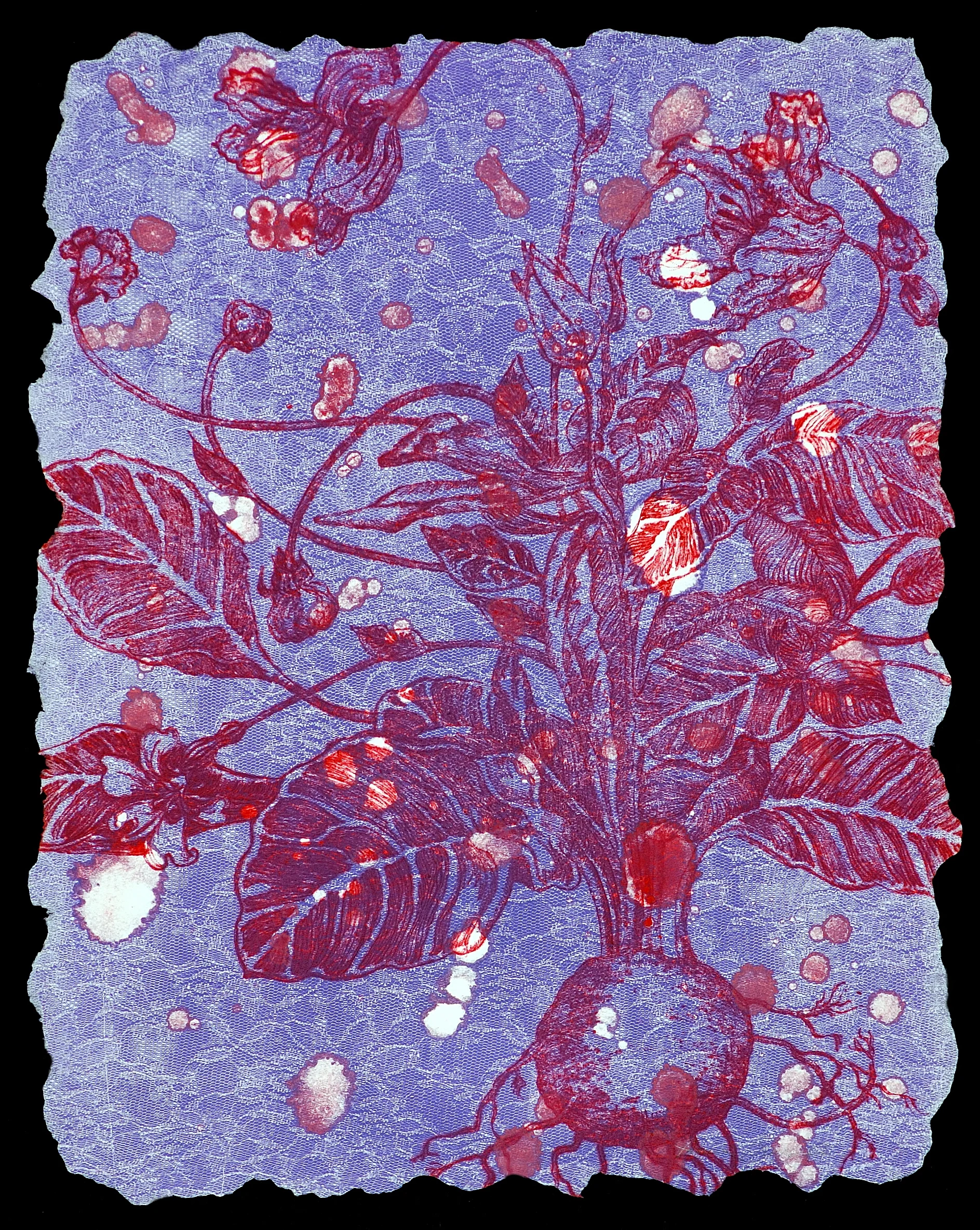 Florabunda Bistola llll 24" x 20"
