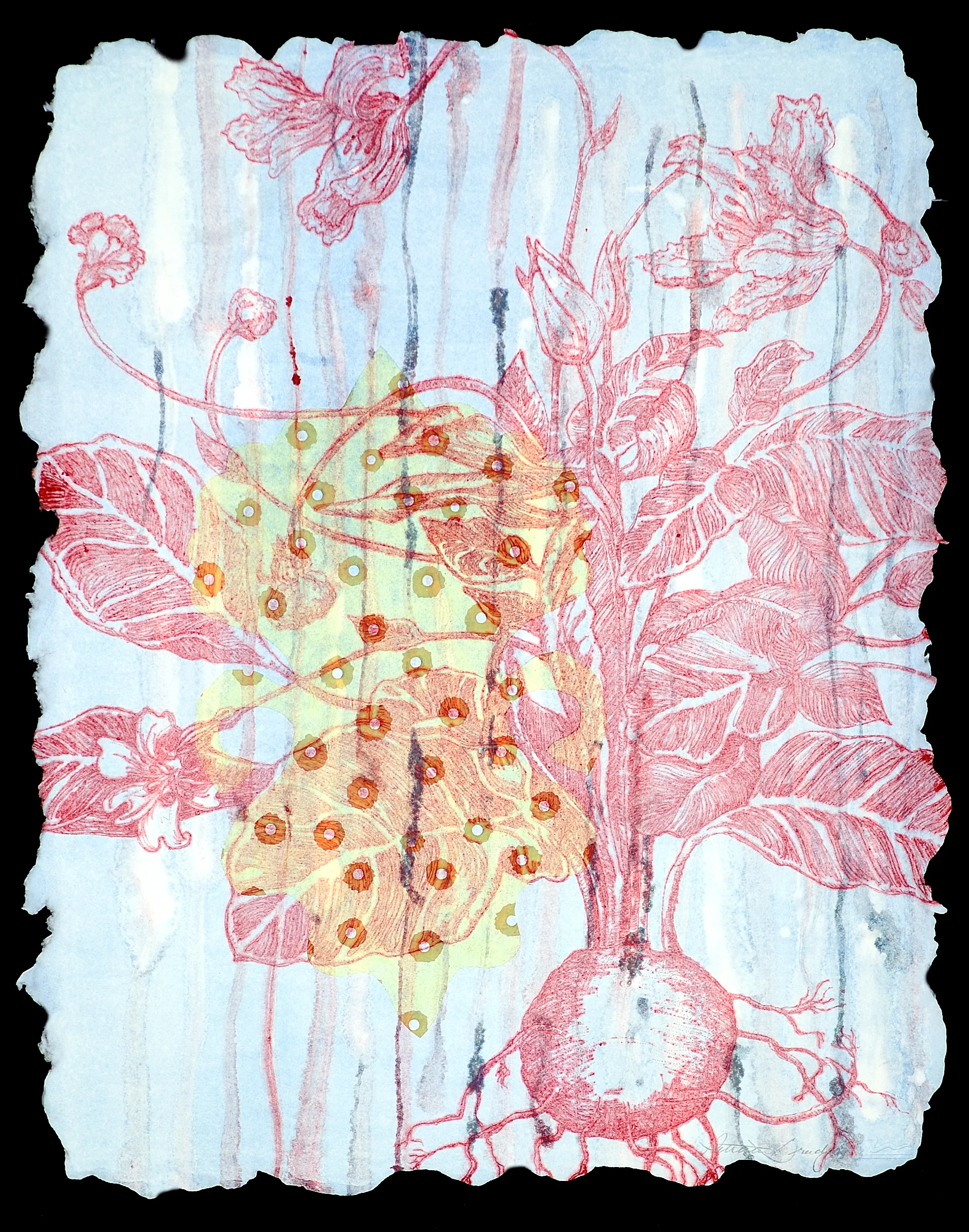 Florabunda Bistola V 24" x 20"