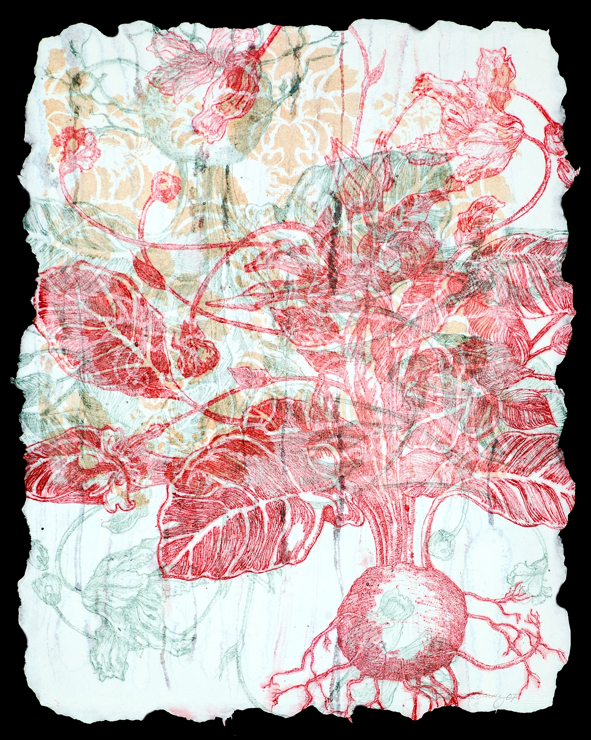Florabunda Bistola Vl 24" x 24"