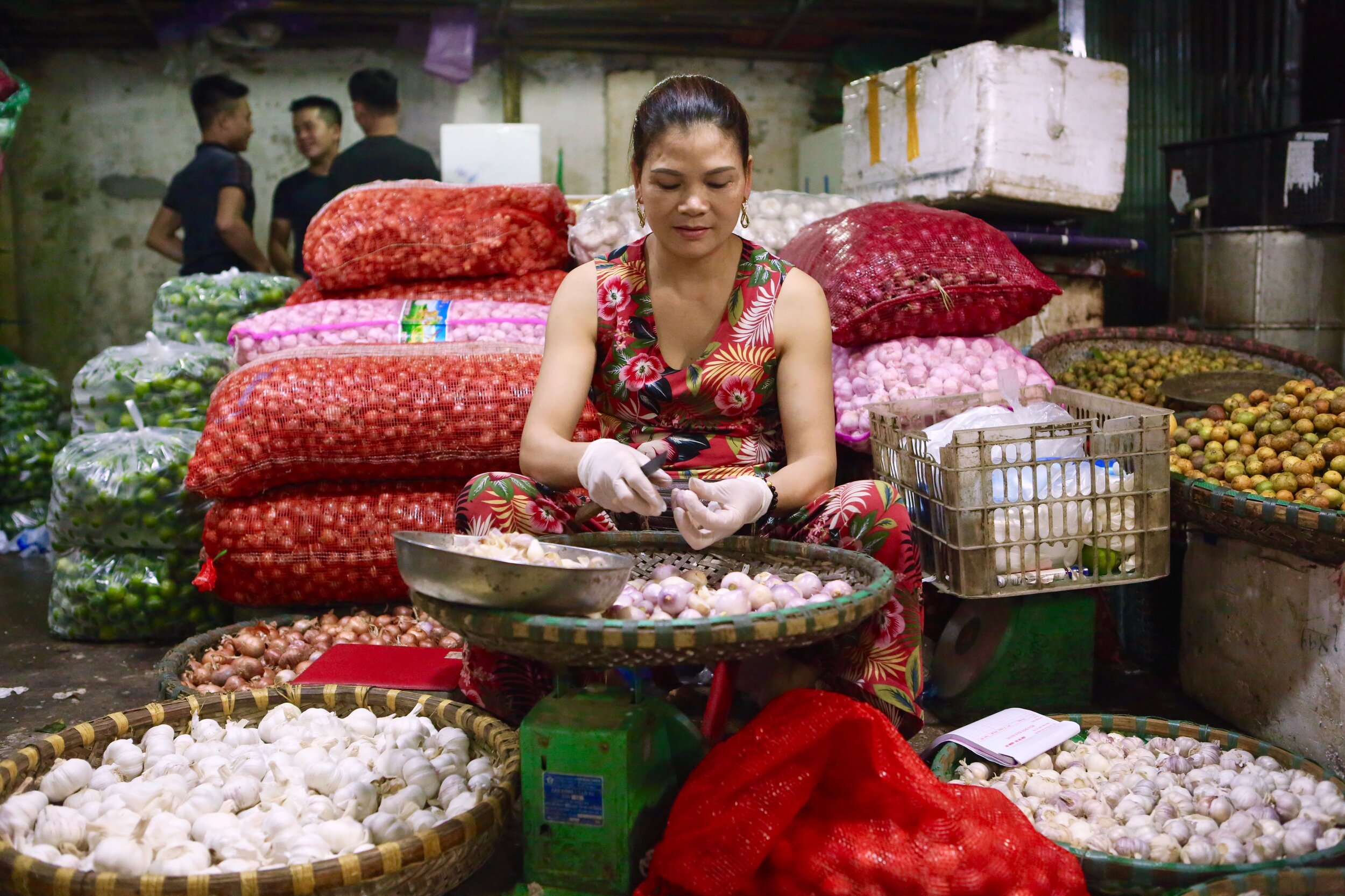  Vietnam, 2019 