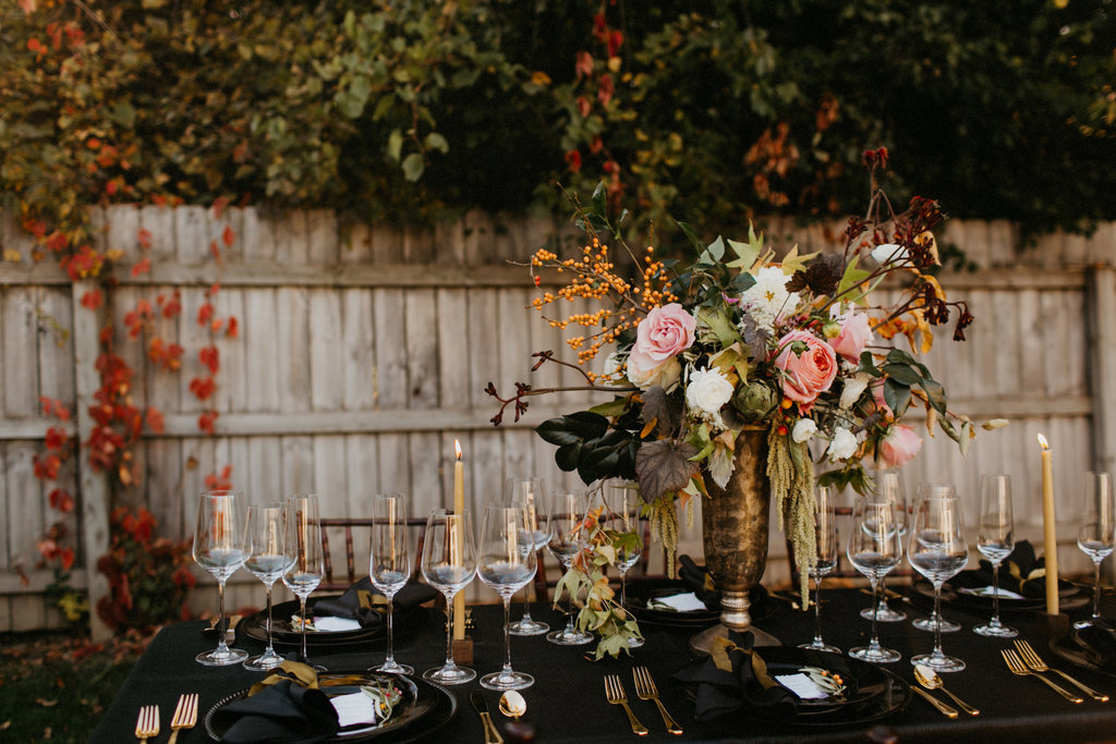 Jillian Bowes Photography
